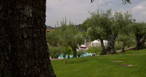 Exploring the garden 스톡 동영상 143264068