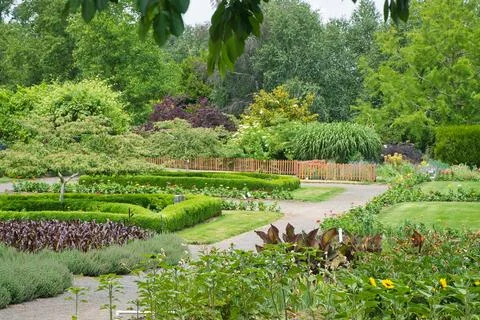 Exploring the gardens of Oregon with paths and greenery Фото