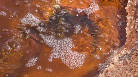 Exploring the geothermal features of Yellowstone National Park  Видео 331571435