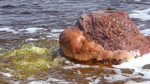 Exploring the geothermal features of Yellowstone National Park  Видео 331571436