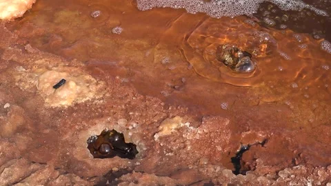 Exploring the geothermal features of Yellowstone National Park  Видео 331571438