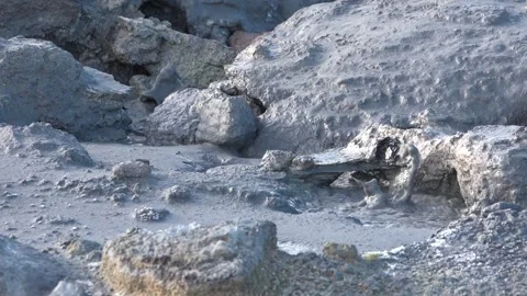 Exploring the geothermal features of Yellowstone National Park  Видео 331571447