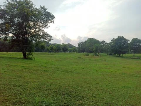Exploring Grassland Biomes Stock-Fotos