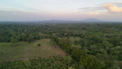Exploring green fields and hills in Nicaragua during sunset Vidéo 344059490