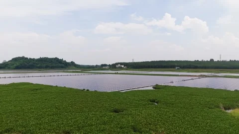 Exploring the green fields and water bodies in Ho Quang Thanh Vietnam Stock Footage 338265996
