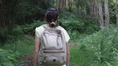 Exploring the Green Forest - A Backpacker's Perspective Stock Footage 247510876