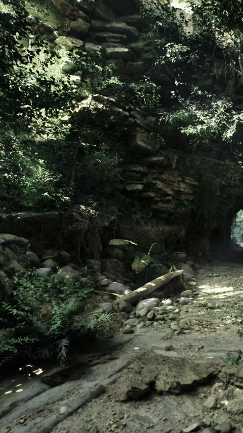 Exploring a green forest path under a rocky archway by a stream Stock Footage 342443698