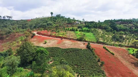 Exploring the green landscape of Loc Tan in Bao Lam, Lam Dong, Vietnam, during 库存影片 333430429