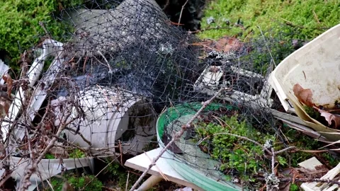 Exploring the hidden impacts of waste in a natural landscape Vídeos de archivo 295337754