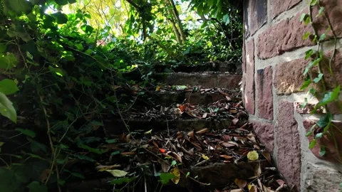 Exploring a Hidden Staircase Surrounded by Lush Greenery in Autumn Stock Footage 287901328