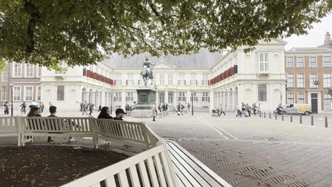 Exploring the historic square with a statue and royal palace 스톡 동영상 310666679