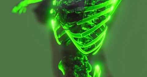Exploring human skeleton anatomy with luminous visualization Illustrazione stock