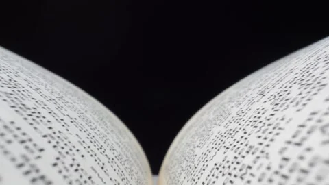 Exploring the Intricate Details of Ancient Texts Vidéo 316484795