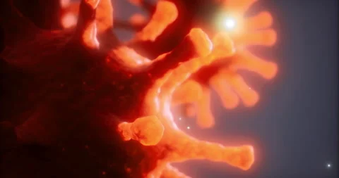Exploring the intricate details of a micro organism captured in vibrant colors Stock Footage 324714398