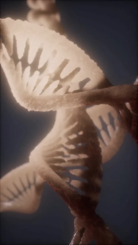 Exploring the intricate structure of DNA at a molecular level in detail Stock Footage 311978781