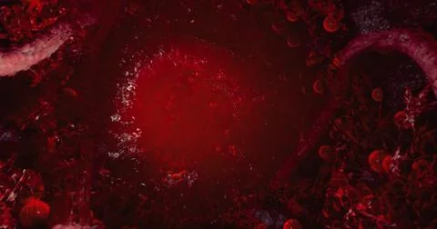 Exploring the intricate world of human blood cells in motion Stock Illustration