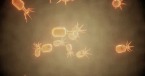 Exploring the intricate world of microorganisms in vivid detail Stock Footage 326404793