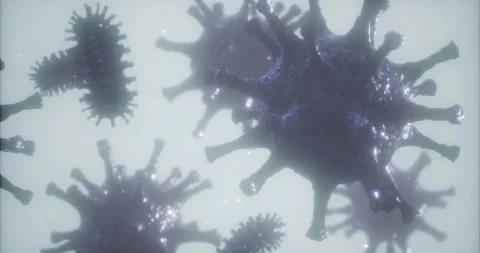 Exploring the intricate world of microscopic organisms under a light microscope Stock Footage 314330009