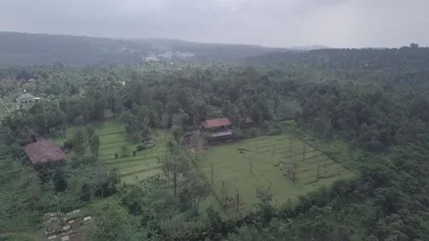 Exploring Java's Untouched Pine Forest and Majestic Mountains: Drone Stock Footage 237791140