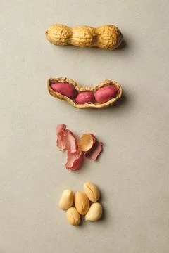 Exploring the journey of the peanut from shell to nutty delight Stock-Fotos