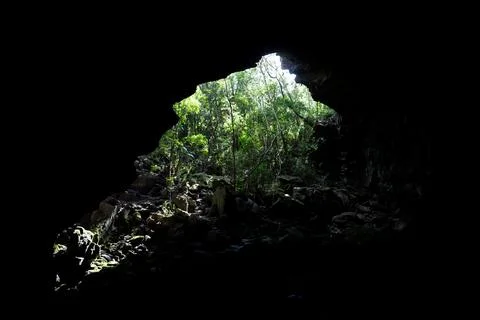 Exploring the Jungle from Inside a Mysterious Cave Stock Photos
