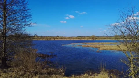 Exploring a lake on a sunny day with clear blue sky and calm water in nature Stock-Footage 332634212