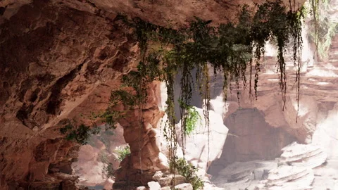 Exploring a large rock cave with hanging plants and natural light Stock Footage 339885937