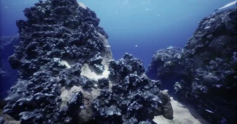 Exploring lively coral reefs in clear waters by a tropical island Stock Illustration