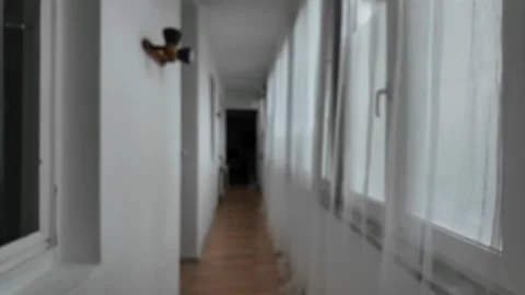 Exploring a Long, Dimly Lit Corridor in an Abandoned Building During Twilight Stock Footage 287833969