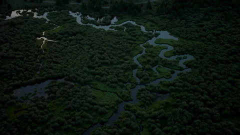 Exploring the lush foliage along the winding river in Dorne during early morning Stock Footage 288868026