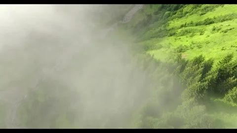 Exploring a lush green landscape with flowing river in morning mist Stock Footage 320341062