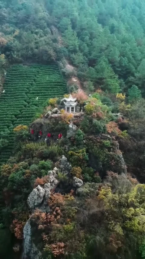 Exploring the lush landscapes of China through aerial views Vídeos de archivo 335072929