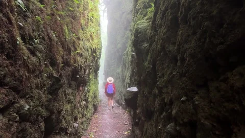 Exploring the Lush Trails of Mombacho Volcano in Granada, Nicaragua Stock Footage 300232718