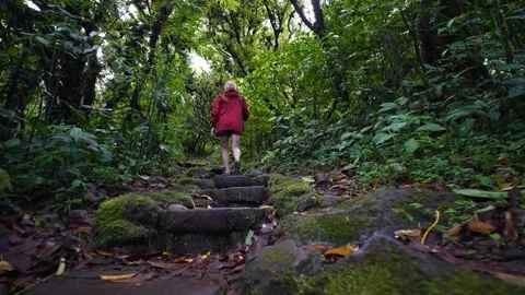 Exploring the Lush Trails of Mombacho Volcano Near Granada, Nicaragua Stock Footage 300233873
