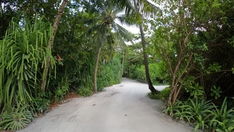 Exploring the lush, winding pathways of a Maldivian paradise Video stock 286105033
