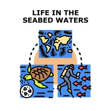 Exploring marine life and ocean water ecosystems Stock Illustration