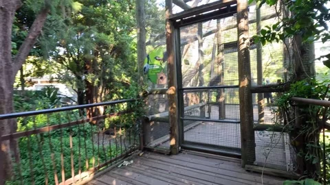 Exploring Melbourne Zoo's Enclosures Stock Footage 301164504