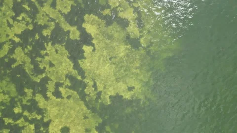 Exploring the Miami coast 스톡 동영상 247220971