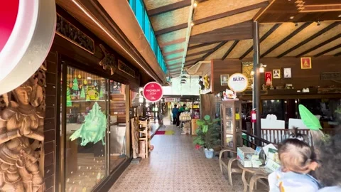 Exploring a Michelin-Starred Restaurant Stock Footage 311431075