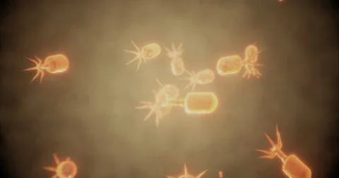 Exploring the microscopic world of tiny organisms in vibrant detail Stock Footage 319749700