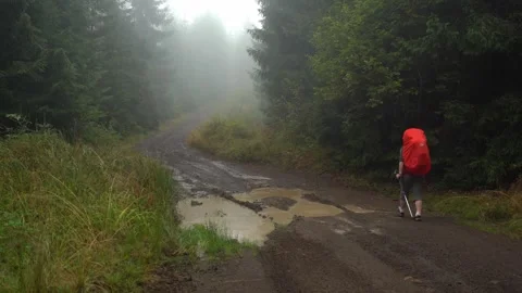 Exploring a misty forest trail with a hiker carrying a backpack Video stock 329033383