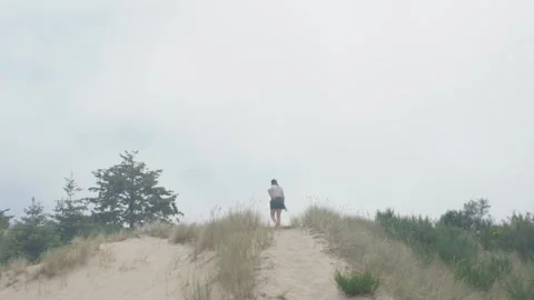 Exploring misty sand dunes park area Stock Footage 342317278