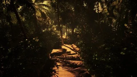 Exploring a misty trail in the dense tropical foliage Ilustração Stock