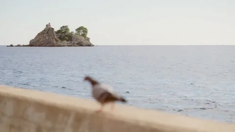 Exploring Montenegro's coastline with views of an St. Nedjelja Church in Stock Footage 327012018