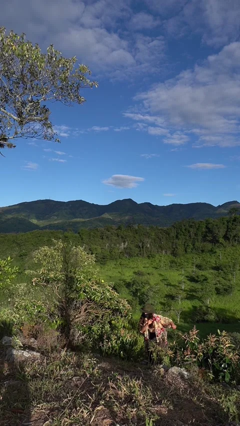 Exploring the Mountain colombiana Stock Footage 145976485