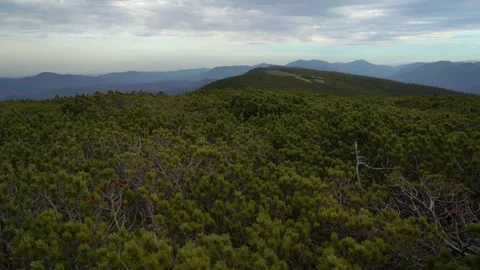 Exploring a mountain landscape with views of distant hills and green plants 스톡 동영상 330120730
