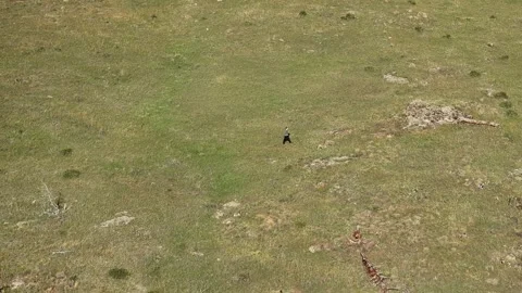 Exploring The Mountain Wilderness On A Hike large meadow with tall grass. Stock Footage 345653477