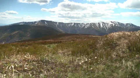 Exploring mountains in springtime with flowers and snow-capped peaks Stock Footage 328095300