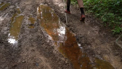 Exploring a muddy pathway surrounded by trees after rainfall Stock Footage 308527344