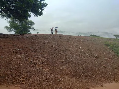 Exploring the Mystical Path Amidst Clouds and Trees Stock Photos